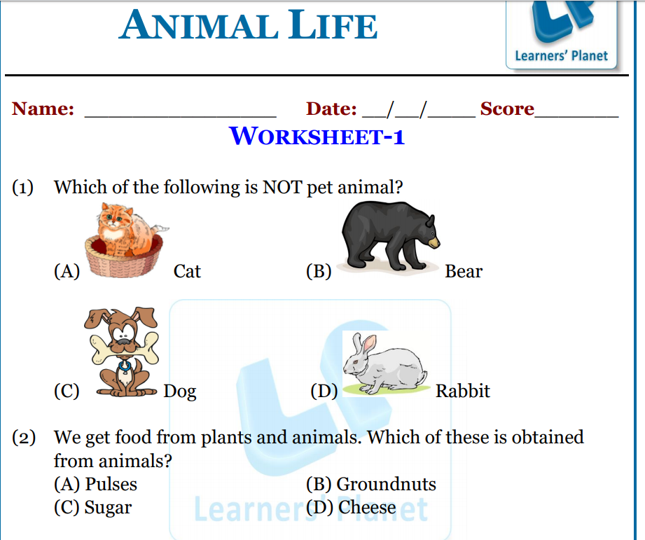 Animal life printable worksheet for grade 2 kids